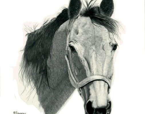 Web page horse2